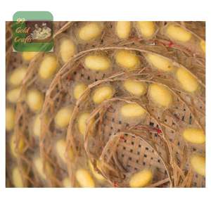 Natural Silk Fiber <b>Silkworm</b> Cocoons Premium White Mulberry Cocoon for Facial Scrub and Skin Care Treatment - Product Image 1