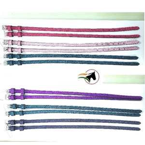 CORREA DE ESPIRAL CON BRILLO PARA ESPIRAS DE JINETE ASEQUIBLE CON PRODUCTOS DE ALTA CALIDAD DE Carreras DE CABALLOS ingleses de la India - Product Image 1