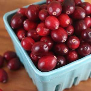 Cranberries Frais de Haute Qualité 950kg Vente en Gros Approvisionnement Premium Maturité 80-95% Grade 10-20mm - Product Image 2