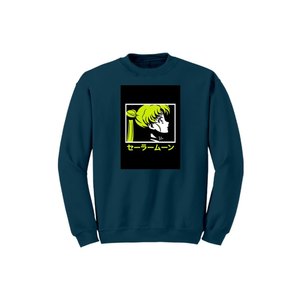 เสื้อสเวตเตอร์คอลเลกชั่น100% ผ้าคอตตอนพิมพ์ลายหน้าอกดีไซน์และสีสำหรับ Winter-280gsm + - Product Image 1