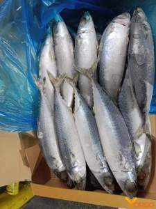 ปลาทูสเปนแห้ง - Product Image 2