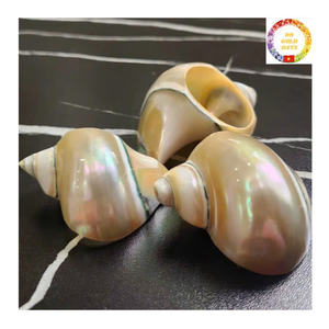 Servilleteros de Concha Marina de Cristal, Decoración de Fiesta Hecha a Mano Inspirada en el Océano - Product Image 1