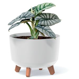 Pot de fleurs vert terre, sans réservoir, collection GRACIA, 39cm x 39cm x 25.7cm, capacité de 21.5 L. - Product Image 4