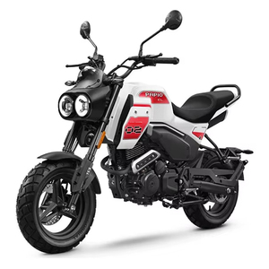 ขายรถมอเตอร์ไซค์ Papio CL รุ่นใหม่ ปี 2026 - Product Image 1