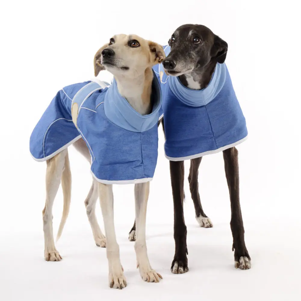 greyhound winter jacket Greyhounds Best Material Pet Dog Apparel Accessories BY Fugenic Industries