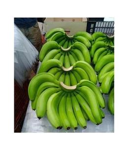 Plátanos verdes orgánicos Cavendish Tipo recién cultivado disponible para venta al por mayor - Product Image 4