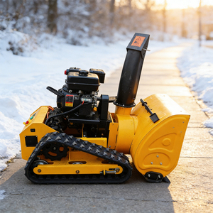 Sopladora de Nieve Autopropulsada Amarilla con Motor de Gasolina para Uso en Aceras y Granjas - Product Image 5