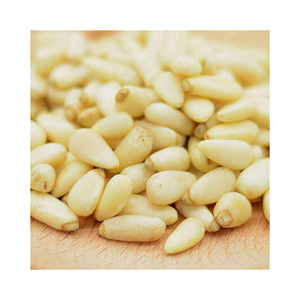 Organic Bulk Open <b>Pine</b> Nuts in Shell Dutched Processing Top Grade UK Origin 2 Year <b>Shelf</b> Life Food Use - Product Image 4