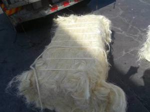 Fibre de sisal 100% naturelle Fibre de sisal prête à la vente - Product Image 4