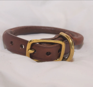 Collar Completo de Perro Enrollado de Cuero Verde de Alta Calidad para Galgo y Whippet - Product Image 2
