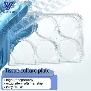 Placa de Cultivo Celular de Alta Transparencia y Material Reforzado para Uso en Laboratorios Científicos - Product Image 3