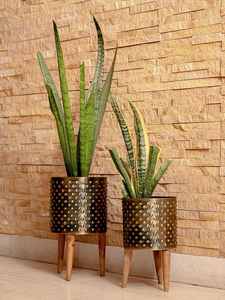 NUEVO Plantador de textura atractiva Venta caliente nuevo diseño simple mejor oferta con los precios más bajos por proveedores verificados - Product Image 4