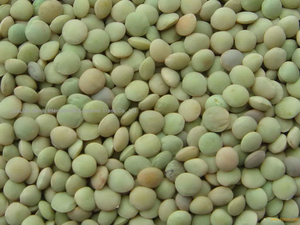 Meilleur prix lentilles vertes entières australiennes sèches de qualité biologique un stock en vrac de 25kg disponible avec emballage personnalisé - Product Image 6