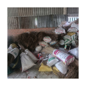 ไม้กวาดมะพร้าวแท่งจากเวียดนามพร้อมวัสดุที่เป็นมิตรกับสิ่งแวดล้อมคุณภาพดีทนทานและส่งออกด้วยราคา99 GD - Product Image 3