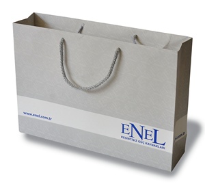Bolsas de Papel Bristol Eurotote de Lujo, Ecológicas, Reciclables, Impresas con Offset Personalizado, con Asas de Cordón, para Empaque Doméstico - Product Image 1