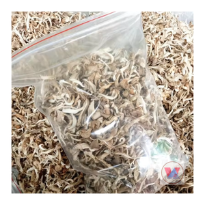 Champignon d'huître séché biologique 100% naturel fabriqué au Vietnam - Product Image 6