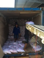 Riz Jasmin Nouvelle Récolte 100% Authentique du Vietnam en Vente