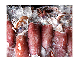 Mariscos Congelados 100% Puros de Calidad, Calamar Loligo Entero U7, Envasado al Vacío, Estándares de la UE, Personalizable, Precio de Mayoreo Económico, en Oferta - Product Image 3