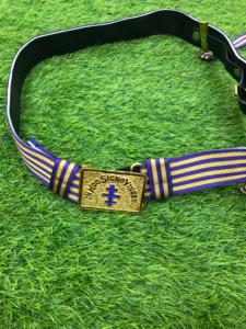 Joyas de metal cualquier joya que pueda obtener personalizada Masonic Regalia - Product Image 1