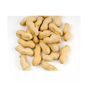 Livraison rapide, cacahuètes en gros, approvisionnement en vrac, prix bas, qualité supérieure - Product Image 3