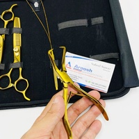 Kit de pinces à micro perles en acier inoxydable plaqué or pour extensions de cheveux Ciseaux de coupe de cheveux de barbier à boucle droite