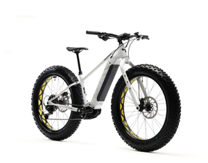 6195C024 Bicicleta eléctrica todoterreno de alto rendimiento - Product Image 1