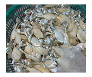 Cuillère élégante pour caviar, cuillère en nacre faite à la main pour les repas haut de gamme, cuillère en nacre de 99 GD - Product Image 1