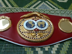 Cinturón de Campeonato de Boxeo Personalizado con Correa de Cuero - Product Image 4