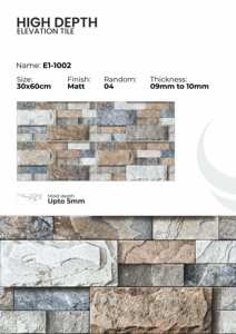 Azulejos de Porcelana para Elevación de Paredes de 300x600 mm, Acabado Exterior - Product Image 4