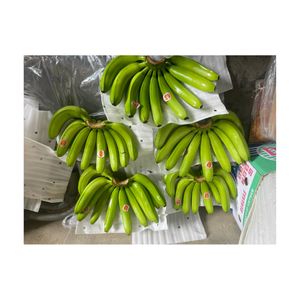 Plátanos verdes orgánicos Cavendish de alta calidad, cuidadosamente envasados, Exportación a granel, al por mayor, plátanos frescos a precio barato - Product Image 2