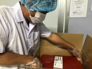 ARIL DE FRUTA GAC CONGELADA, ACEITE DE FRUTA GAC NATURAL, EXTRACTO NATURAL DE VIETNAM, PRENSADO EN FRÍO, ALTO CONTENIDO DE LICOPENCOS, ESTÁNDAR - Product Image 2