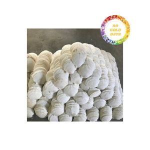 Venta al por mayor de conchas de vieiras para proyectos de manualidades DIY, adornos para el hogar y decoración artística con calidad superior - Product Image 2