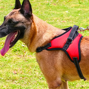 Tendance en gros gilet de harnais de chien réfléchissant robuste sans traction avec poignée de commande sangle de poitrine réglable pour animaux de compagnie pour petits chiens - Product Image 6