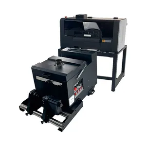 Hochwertige dtf Drucker maschine 12 Zoll Pet Film T-Shirt Drucker Dual xp600 dtf Drucker 30cm mit Schüttel pulver Maschine