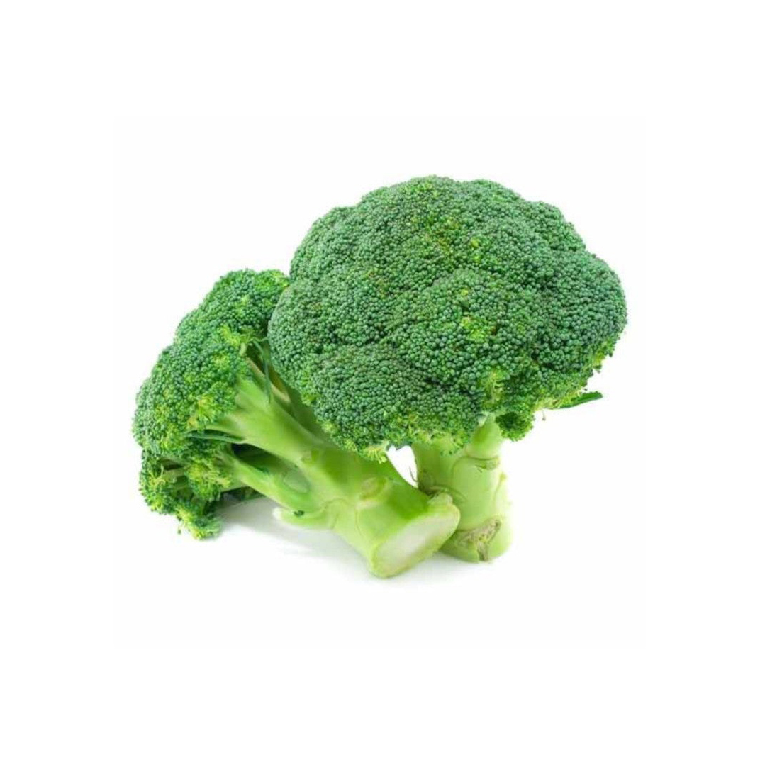 Fresh broccoli available in bulk for global produce distributors and importers