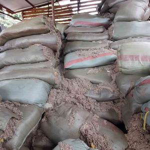 Farine de graines de coton à haute teneur en protéines farine de graines de coton protéine 40% alimentation de qualité supérieure pour volaille bovins et ovins - Product Image 1