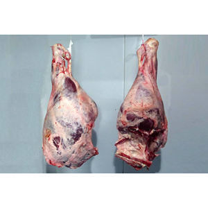 Vente en gros de viande de bœuf nourrie à l'herbe nature Angus congelée 90VL 95VL - Product Image 6