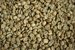 Grano de café Robusta S16 sin lavar 2% roto empaquetado en bolsa de yute - Product Image 2