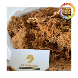 Musgo Marino Natural de Alta Calidad, Materia Prima para Aplicaciones Alimentarias y de Salud - Product Image 1