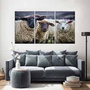 Impression sur toile de moutons élégante : décoration murale moderne style ferme, lot de 3 toiles - Product Image 1