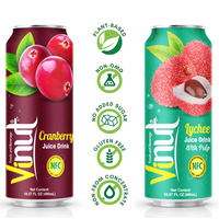 100% Vers Fruit 490ml Geblikte Drank met 50% Sap en Vruchtvlees: Cranberry, Lychee, Sinaasappel, Aardbei - Groothandel - Private Label OEM