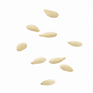 Graines de sésame naturelles de qualité supérieure |   Texture riche en huile pour une alimentation saine, emballage en vrac et forte demande internationale - Product Image 3