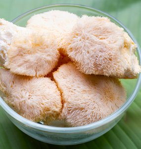 Dried <b>Lion</b> <b>Mane</b> Mushroom for <b>Tea</b> Soup & Food Processing | Vietnam Bulk Supplier - Product Image 6
