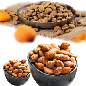 Granos de albaricoque | Nueces naturales dulces para productos alimenticios gourmet - Product Image 2