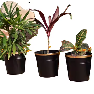 Ensemble de 3 jardinières en métal gratuites avec une élégante bande dorée, parfaites pour les jardins extérieurs et la décoration de la maison. & Vase haute vente - Product Image 1