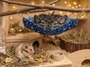 Hamac pour petits animaux S 22×27cm – Hamac suspendu lavable pour hamsters, furets, rats, cochons d'Inde, chinchillas - Product Image 4