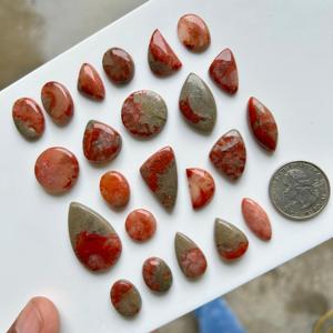 Red Horn Coral Cabochon Red Utah Coral Lo mejor para regalar Colección exclusiva de coral En precio al por mayor Cómpralo ahora - Product Image 2