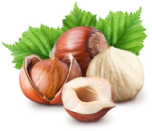 Noix de macadamia de haute qualité en vrac séchées brutes avec coquille-Vente en gros directe du fournisseur - Product Image 2