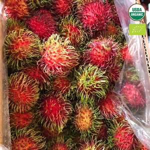 PURE <b>CANNED</b> RAMBUTAN IN LIGHT SYRUP NATURAL TROPICAL <b>FRUIT</b> FOR HEALTH - Product Image 1
