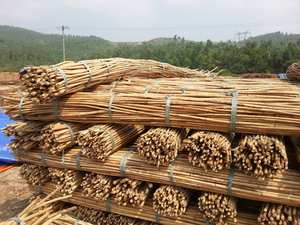 ขายส่งหวายตาข่ายสานเฟอร์นิเจอร์หัตถกรรม Sillas De Sticks ก๊อกธรรมชาติวัตถุดิบหวายแกน - Product Image 2